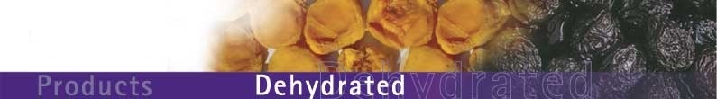 Dehydrated Fruits Header