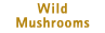 Wild Argentina